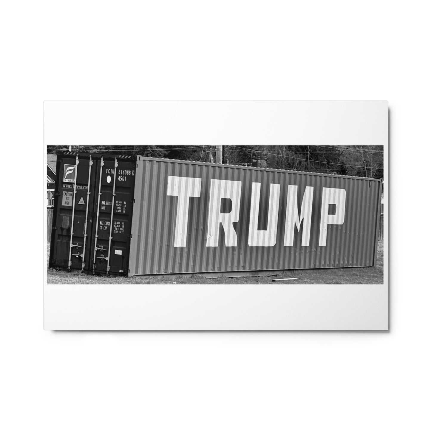 Trump container - Metal prints
