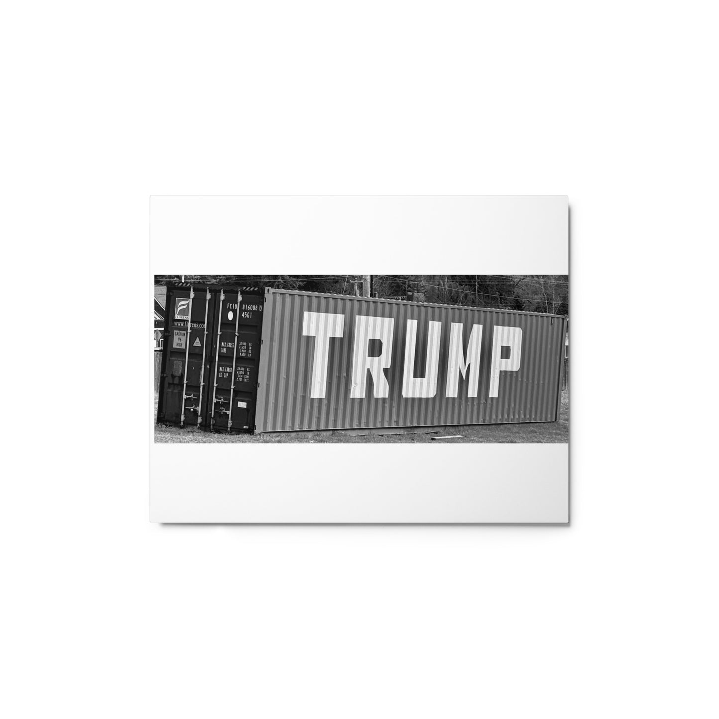 Trump container - Metal prints