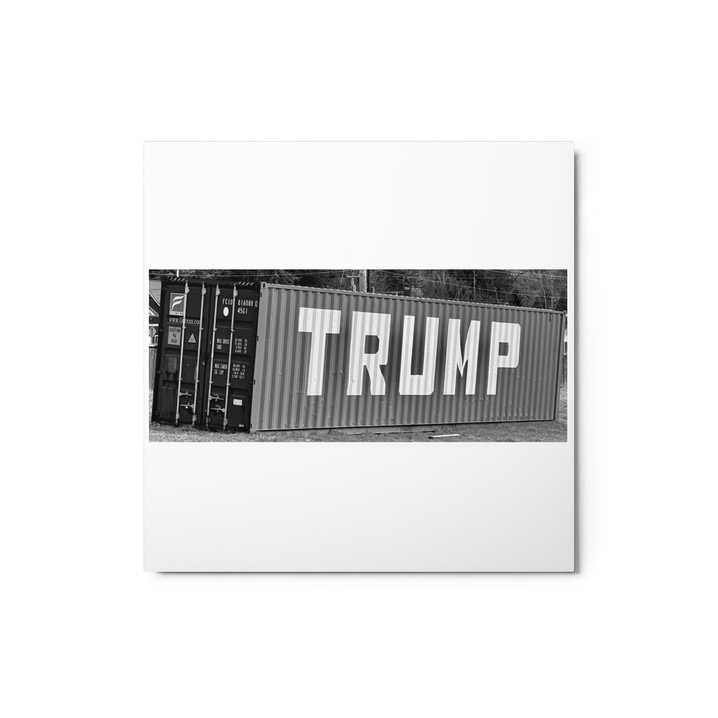 Trump container - Metal prints