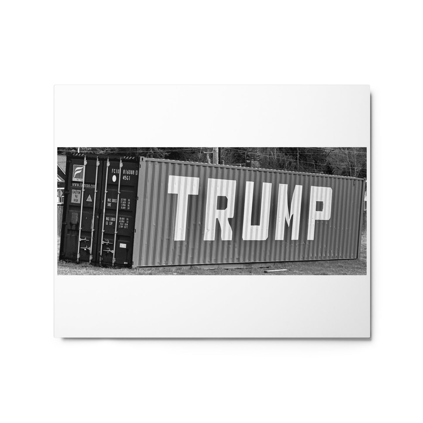 Trump container - Metal prints