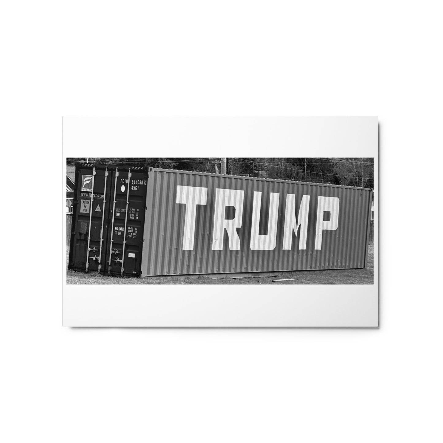 Trump container - Metal prints